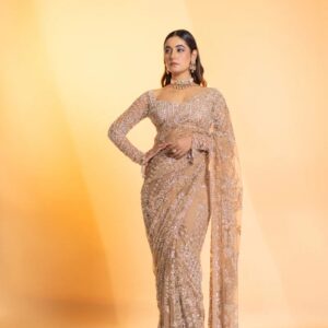 Inspired Premium Golden Butterfly Net Sequin Saree