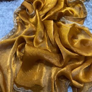 Golden Glow Fandy Chiffon Saree