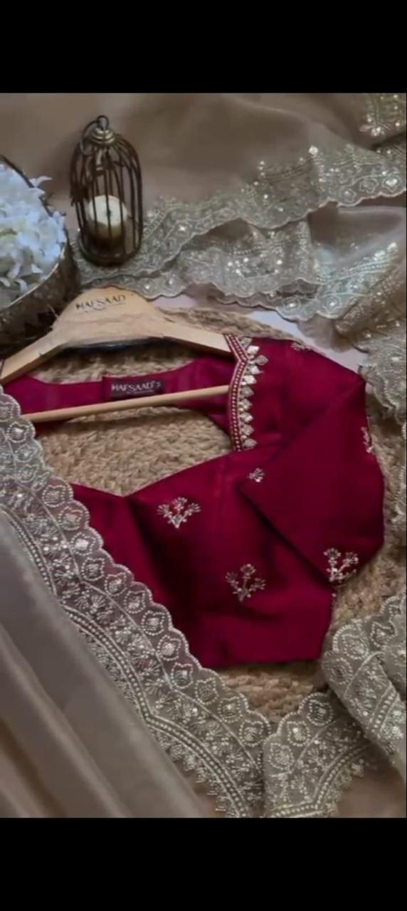 Champagne Organza Silk Saree with Sequin Border - Image 4