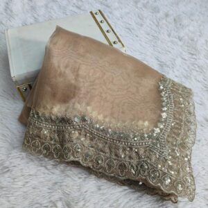 Champagne Organza Silk Saree with Sequin Border