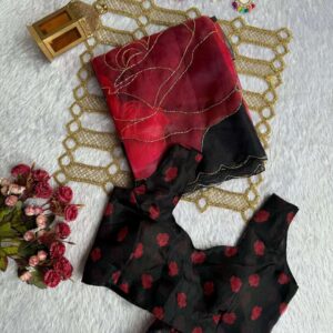 Soft Organza Digital Print Handwork Saree