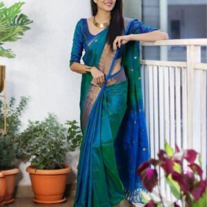 Banarasi Soft Silk Saree