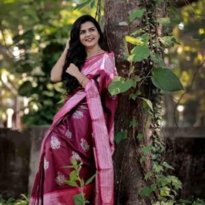 Kanchipuram Silk Saree