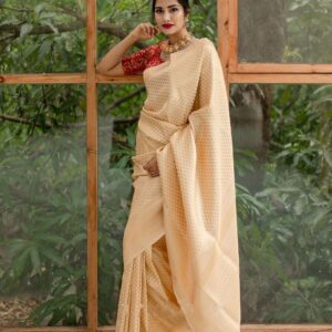 Banarasi Silk Saree